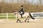 Dressage - Legacy A portfolio