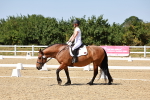 SBM_012608