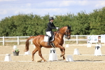 SBM_015255
