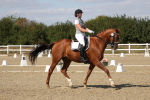 SBM_022545