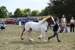 WJ6_6571