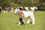 SBM_62238
