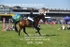 BPP_7648