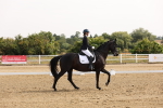 SBM_005308
