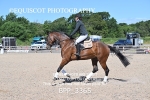BPP_3365