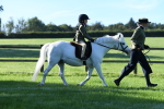 SBM_35376