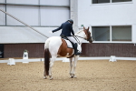SBM_000460
