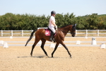 SBM_001150