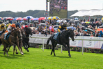 060926-Race 2-Oriental Prince-7206