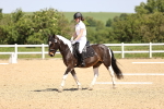 SBM_008593