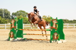 SBM_000861
