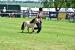 SBM_03610