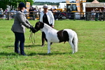 SBM_03445