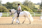 SBM_007464