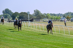 150726-Race 3-Lady Dublin-3157