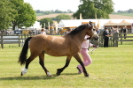 SBM_02123