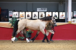SBM_04190