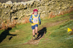 Sale Fell-74