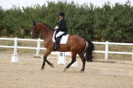 SBM_014782