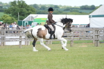 SBM_17224