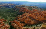 The Glowing Hoodoos of Bryce