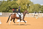 SBM_07720