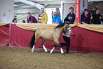SBM_14732