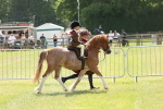 SBM_05227