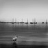 bird on cape cod bay b&w