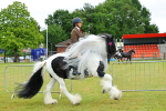 SBM_01180