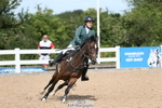 Class 21a&b Pony British Novice & 80 Open portfolio