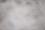 SBM_002539