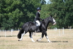 WJ7_0966