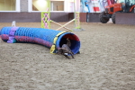 SBM_004497