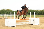 Class 2 - Senior Discovery - 1.00m Open portfolio