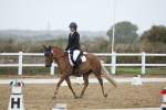 SBM_004331