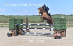 BPP_3180