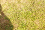 SBM_02769