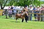 SBM_03647