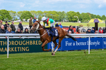 120526-Race 1-Lovers Leap-7177