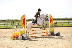 SBM_001910