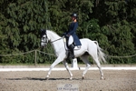 172-VELOUMANI_TESS_LY-Aliene_Ruyter-WEDTrotUp+DR portfolio