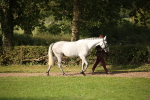 SBM_60047