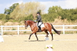SBM_004177