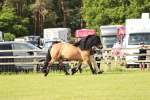 SBM_00836