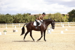 SBM_004242