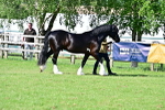 SBM_10139