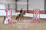 CLASS 0 Clear Round Show Jumping portfolio