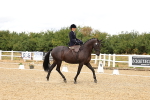 SBM_004634