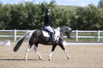 SBM_001145